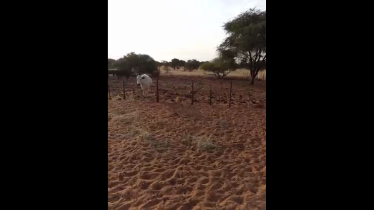 Doen jou werk asof jy dit vir die Here doen