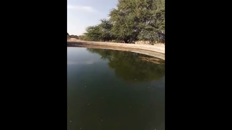 laat die lewende water deur jou vloei