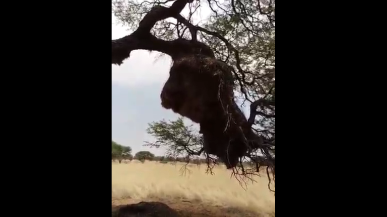 Moenie vir julle skatte op aarde bymekaarmaak nie,