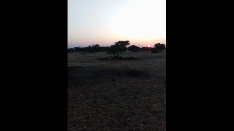 Dit is die dag wat die Here gemaak het