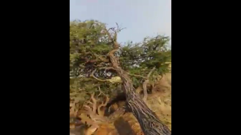 Jy het ‘n anker nodig