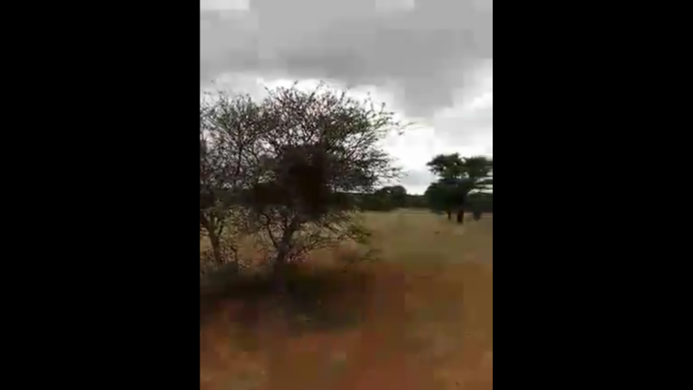 Slegte geselskap verwoes goeie sedes