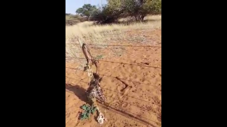 Moenie met God se genade speel nie