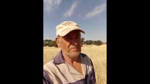 Volhard tot die einde toe
