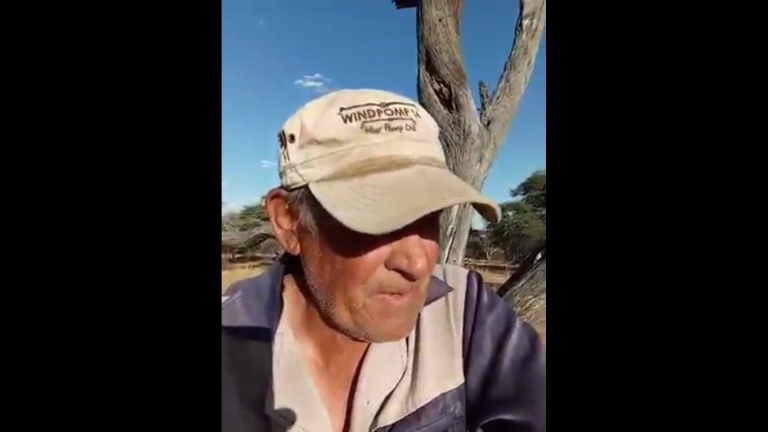 Salig is die sagmoediges,