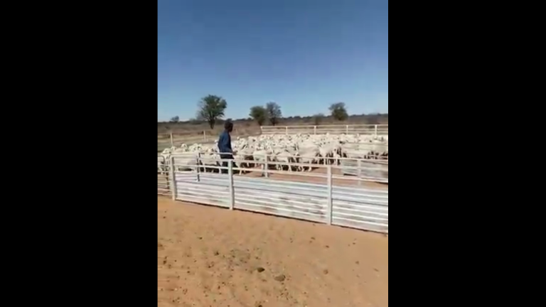 Here toets my en reinig my siel