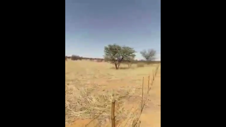 Wat is die doel van sout