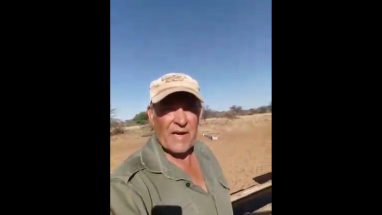 Salig is die vredemakers