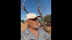 Deur Die Vrug Ken Jy Die Boom