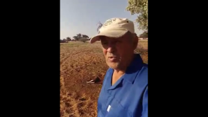 Los ou koeie in die sloot!